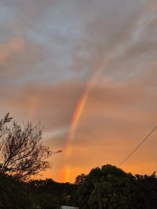 A vibrant rainbow stretching across a warm sunset sky, with soft orange tones and dark tree silhouettes creating a peaceful evening scene