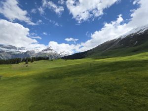 This image shows a wide natural landscape with green hills stretching gently under a blue sky filled with scattered clouds. In the background, there are mountains partially covered with snow, creating a contrast between the green valley and the white peaks. A forest of trees can be seen in the distance, adding depth to the scene. The daylight illum
