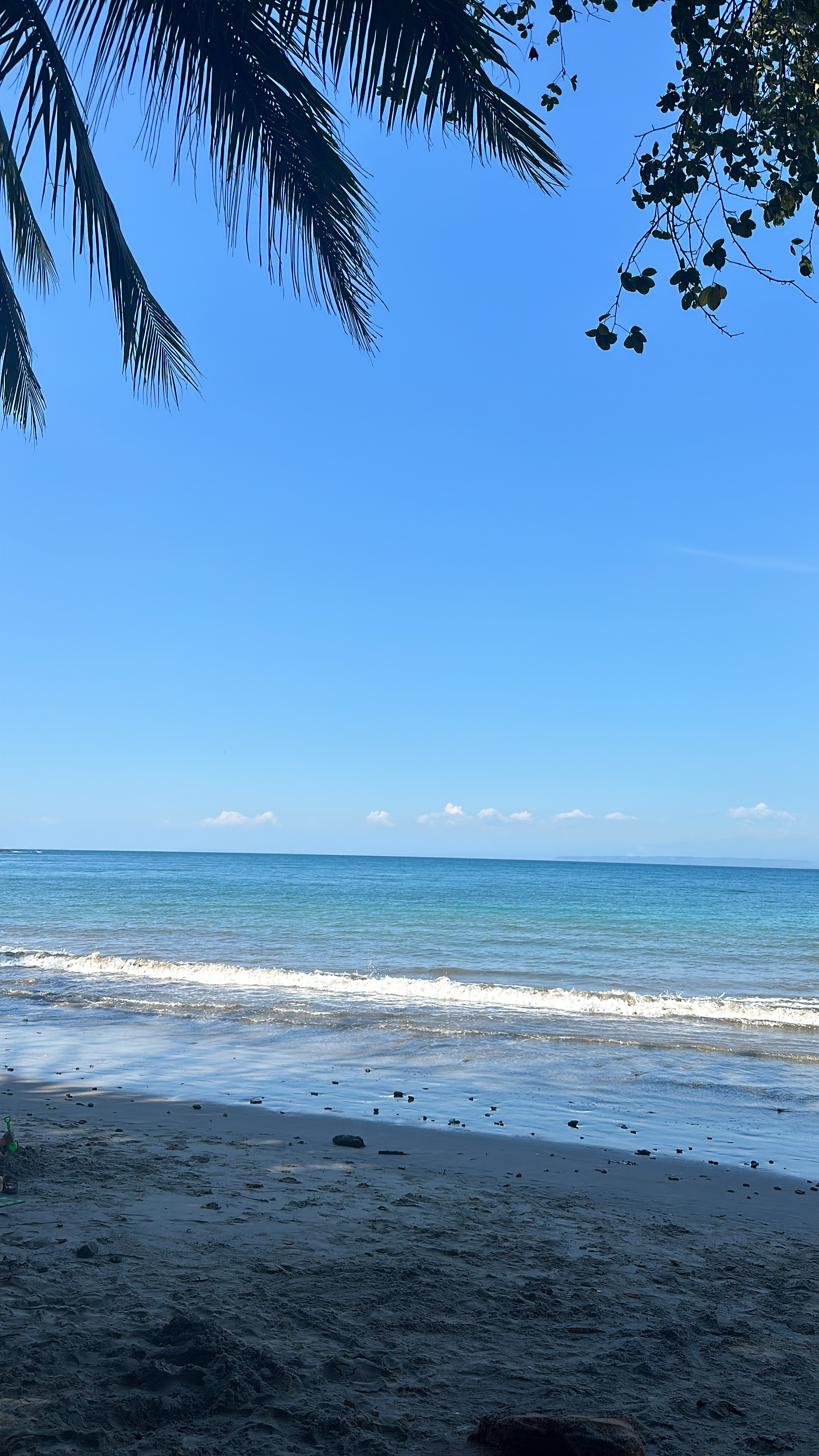 A serene beach scene featuring gentle waves lapping at the shore, under a clear blue sky. Palm leaves frame the top of the image, adding a tropical feel, while the sandy beach is dotted with small rocks and scattered debris. The ocean stretches toward the horizon, where a few clouds can be seen in the distance.