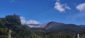 A mountain landscape under a clear blue sky, showing the contrast between rocky slopes and lush green forest.