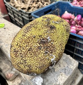 
A large, spiky jackfruit rests on a concrete surface, showcasing its greenish-yellow skin with brown spot