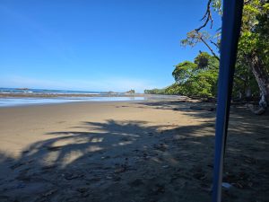 A quiet beach with soft shadows, framed by trees and a clear blue sky.