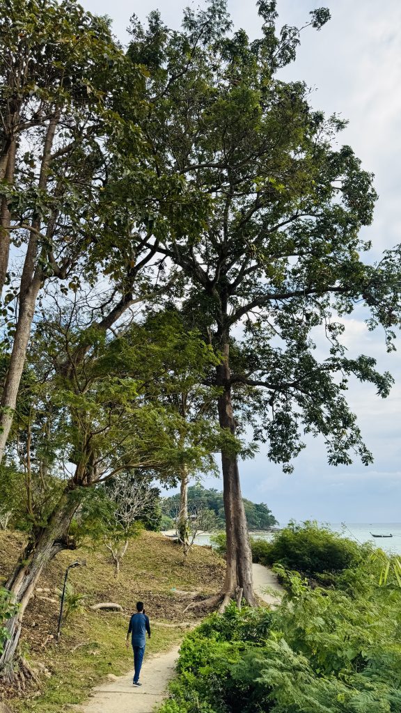 A man in a blue shirt walks down a narrow hillside path, surrounded by trees with the ocean in the distance under a cloudy sky.