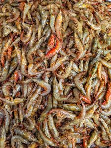 A close-up of a pile of prawns in shades of brown, beige, and bright red.