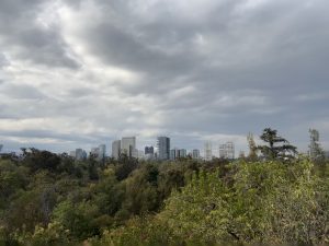 A view of a city skyline is seen in the distance, surrounded by lush greenery and trees in the foreground. The sky is overcast with gray clouds, creating a moody atmosphere. Modern buildings of varying heights and designs are visible among the trees, suggesting an urban area set within a natural landscape.