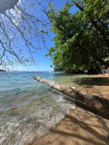 
A peaceful beach scene featuring clear blue water gently lapping against sandy shores.