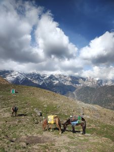 Two horses grazing on a grassy mountain slope with saddles on their backs. Snow-capped mountains and large clouds dominate the background.
