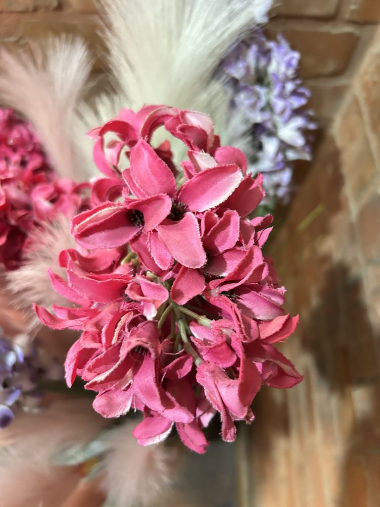 A close-up view of a vivid pink flower cluster, with multiple layers of petal-like structures that are slightly ruffled and soft-looking.