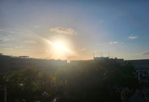 A picturesque sunset scene with the sun low on the horizon, casting a warm glow over nearby buildings. Silhouettes of palm trees are visible in the foreground, while soft clouds are scattered in a clear blue sky. In the background, structures with rooftops and flags create an interesting skyline, contributing to the serene atmosphere.
