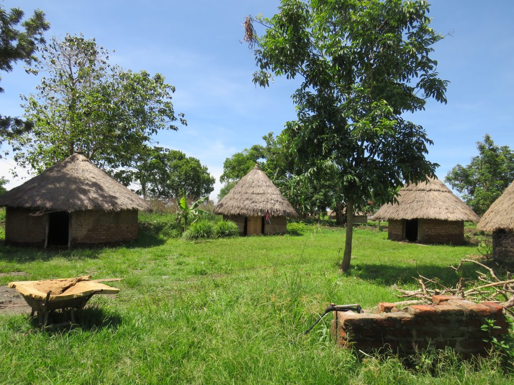 Circular mud-brick huts with thatched roofs stand in a grassy field, with a wheelbarrow and a low brick wall in front.