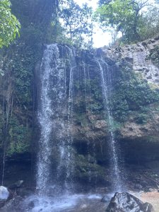 A beautiful waterfall cascades down a rocky cliff surrounded by lush green foliage. 