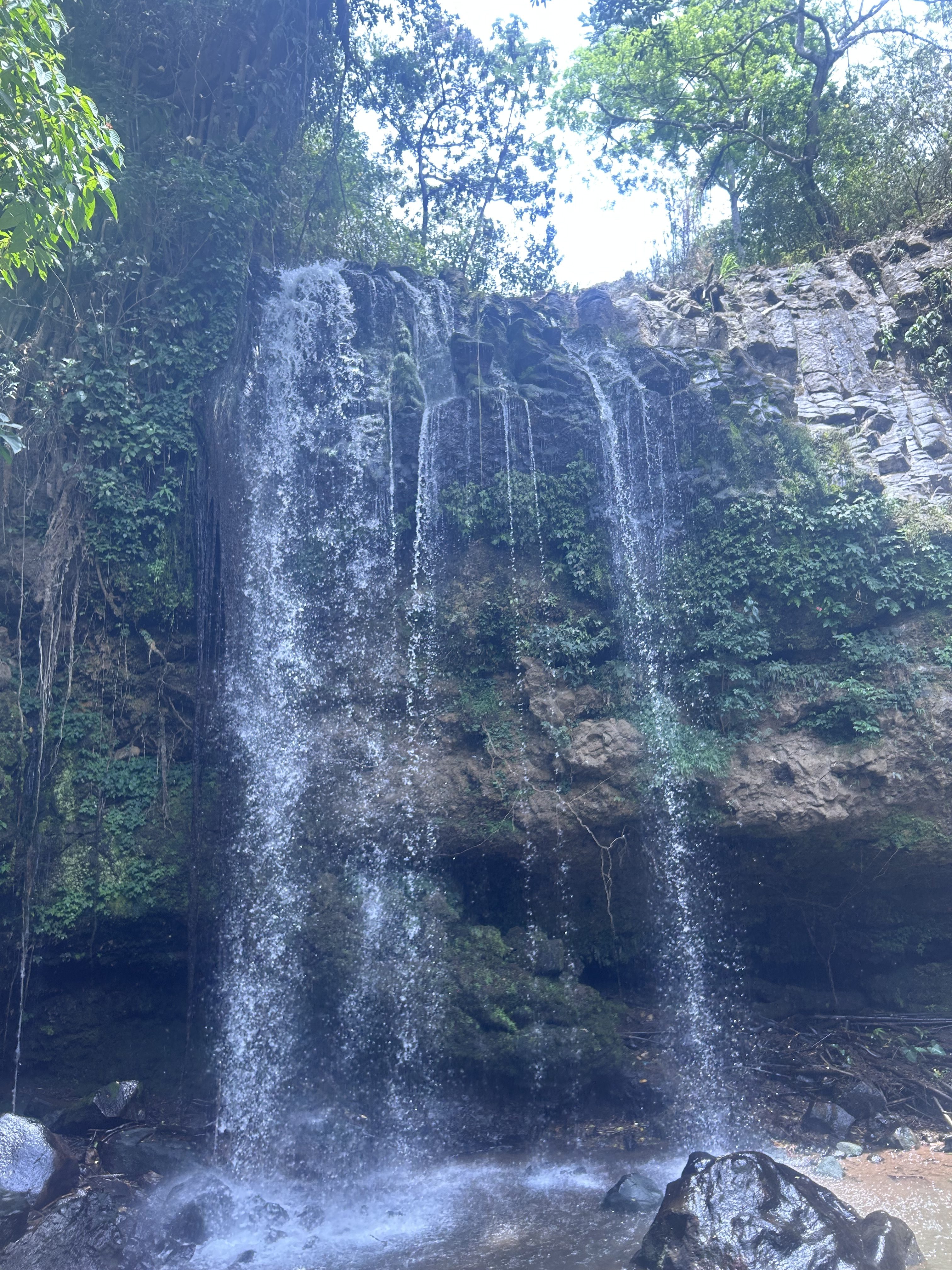 A beautiful waterfall cascades down a rocky cliff surrounded by lush green foliage.
