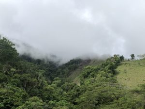 
A lush, green mountainous landscape partially obscured by low-hanging clouds.