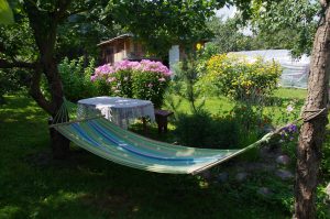 Hammock strung between two trees in a garden, with a small table nearby and blooming flowers around