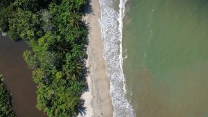 Aerial view of a coastline where ocean waves meet a river surrounded by lush greenery.