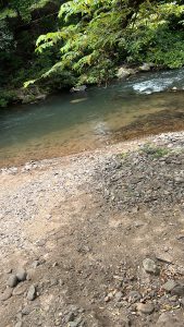A tranquil river scene featuring clear, gently flowing water bordered by a pebbly bank. On the left, a mix of small rocks and sandy earth leads to the water's edge, while lush green foliage and trees frame the surroundings, creating a serene natural setting.