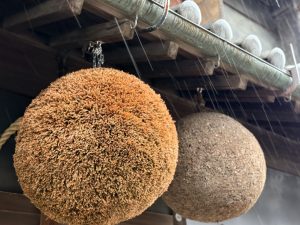 Two large hanging cedar balls, known as Sugidama (also called Sakabayashi), used by sake breweries—one fresh and orange, the other aged with a rough texture.
