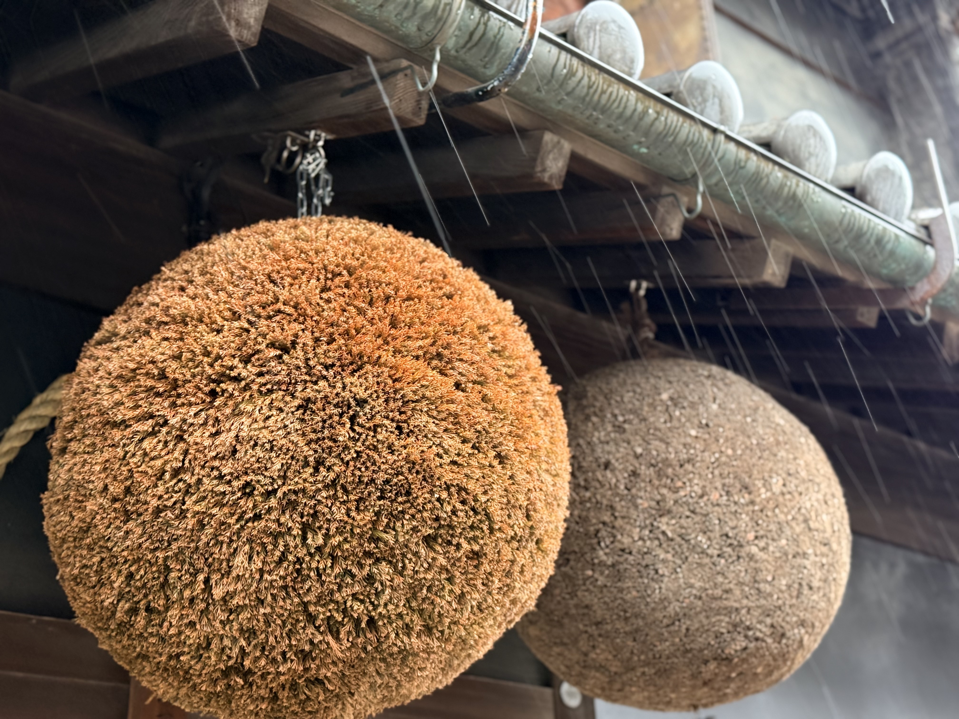 Two large hanging cedar balls, known as Sugidama (also called Sakabayashi), used by sake breweries—one fresh and orange, the other aged with a rough texture.