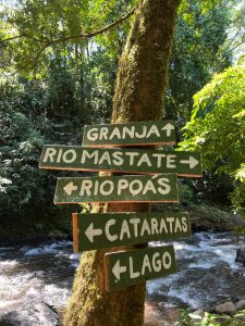 A rustic trail sign stands beside a flowing river in the middle of a lush forest, pointing toward natural attractions and scenic paths.