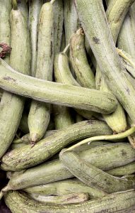 A pile of long, green loofahs guard lying closely together. 