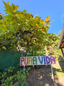 Typical Costa Rican phrase: Pura vida