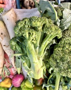 A fresh broccoli bunch sits among colorful radishes and peppers, its bright green color highlighting freshness and abundance.