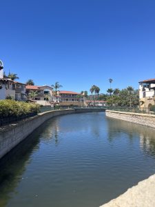 A river line in California 