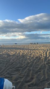 
A serene beach scene featuring a sandy shoreline under a expansive blue sky with scattered clouds. 
