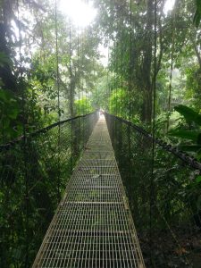 A narrow metal suspension bridge stretches through a lush green forest, surrounded by tall trees and dense foliage. 