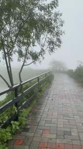 A paved pathway with red and gray tiles runs alongside a black railing, bordered by green plants and trees, with dense fog obscuring the background.