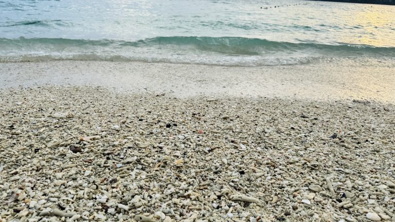 Low-angle view of a coral beach with gentle waves washing ashore, detailed sun-bleached coral and shells in the foreground, and blue-green ocean under an overcast evening sky.