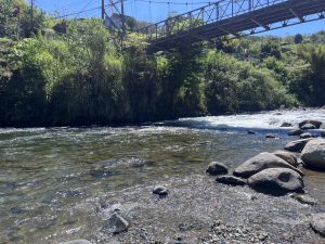 
A serene river flows gently through a rocky bed, reflecting sunlight on its clear surface.