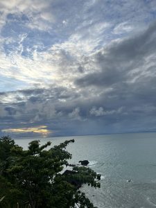 A coastal scene featuring a calm sea under a cloudy sky. The horizon showcases a hint of sunlight breaking through the clouds, while dark rocks are visible along the shoreline. Lush green foliage is present in the foreground, framing the natural landscape.
