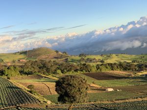Fields up at cloud level at Oreamuno in Cartago, Costa Rica.