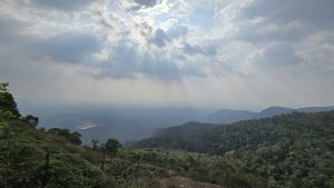 Forested hillside overlooking a hazy valley with distant mountains and sun rays breaking through clouds.
