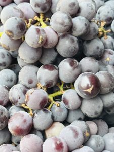 A close-up image of a cluster of purple grapes, featuring a variety of shades from dark purple to almost black. The grapes have a slightly glossy surface with some showing faint white speckles
