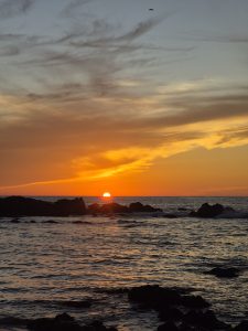 A serene beach scene at sunset, showcasing a vibrant orange sun dipping below the horizon, casting reflections on the gentle waves of the ocean