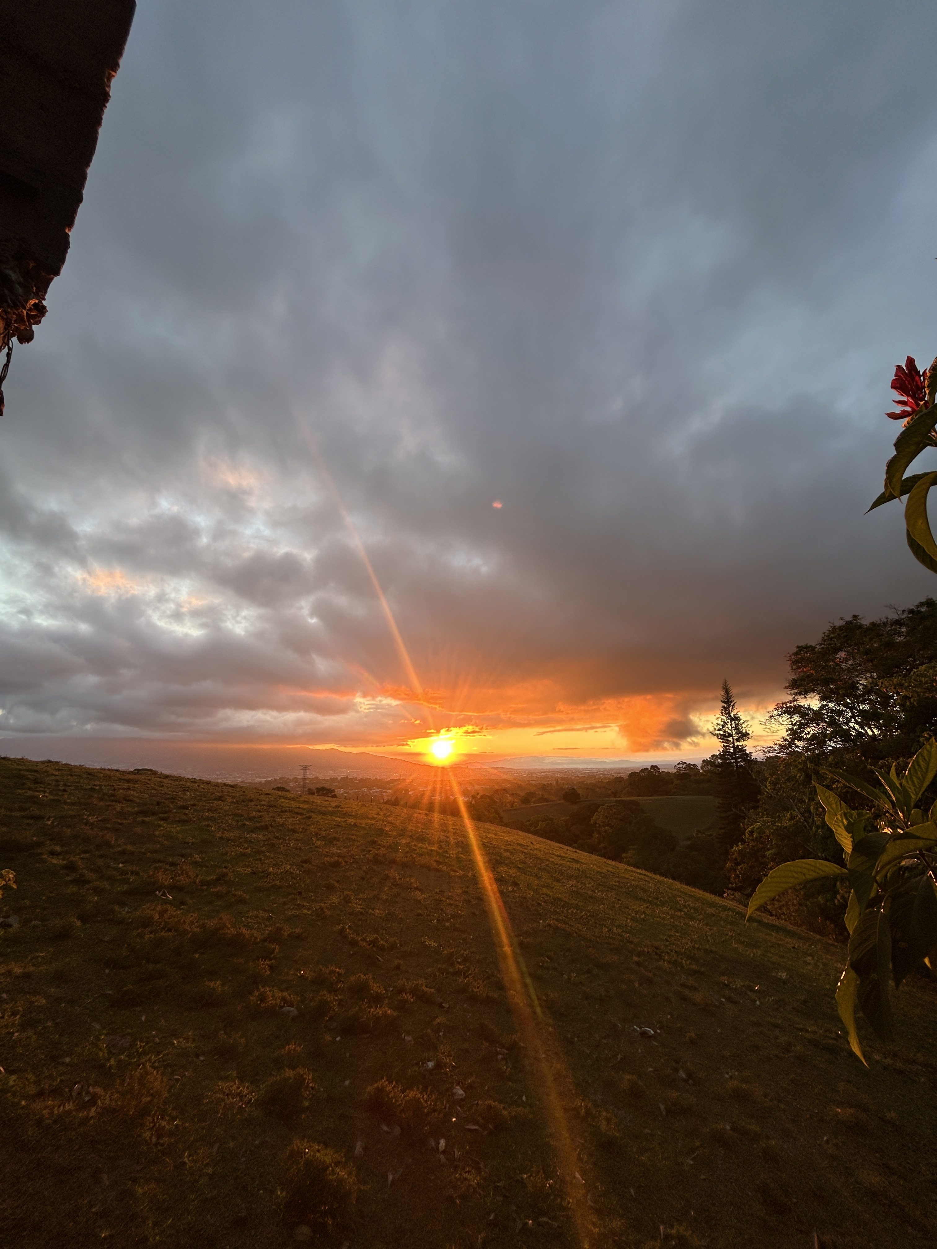 This dramatic, low-angle photograph is framed by the dark silhouette of an eave on the top left and a framing branch with red flowers on the right, looking out over a grassy hill at sunset. The sun is just above the distant horizon, captured in a brilliant, starburst effect with strong, golden-orange light flares radiating downwards across the fore