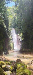 A waterfall surrounded by moss-covered rocks and lush greenery, creating a peaceful and refreshing landscape.