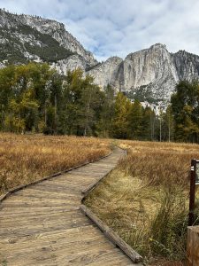 Wooden path leading toward one of the mountains in Yosemite.
