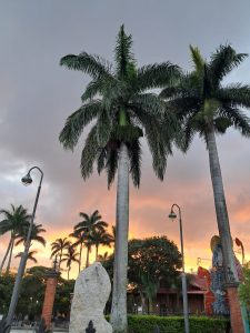 Tall palm trees are silhouetted against a dramatic sunset sky with hues of orange and gray. A stone sculpture and a lamppost are visible in the foreground, along with additional palm trees in the background. The scene conveys a peaceful evening atmosphere in a park setting.