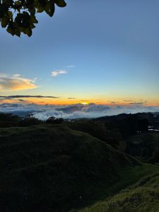 A scenic view of a sunset over a mountainous landscape, with rolling hills in the foreground and a blanket of clouds below. The sky is painted in hues of orange and blue as the sun dips below the horizon, surrounded by a few wispy clouds. A branch with green leaves frames the top left corner of the image.