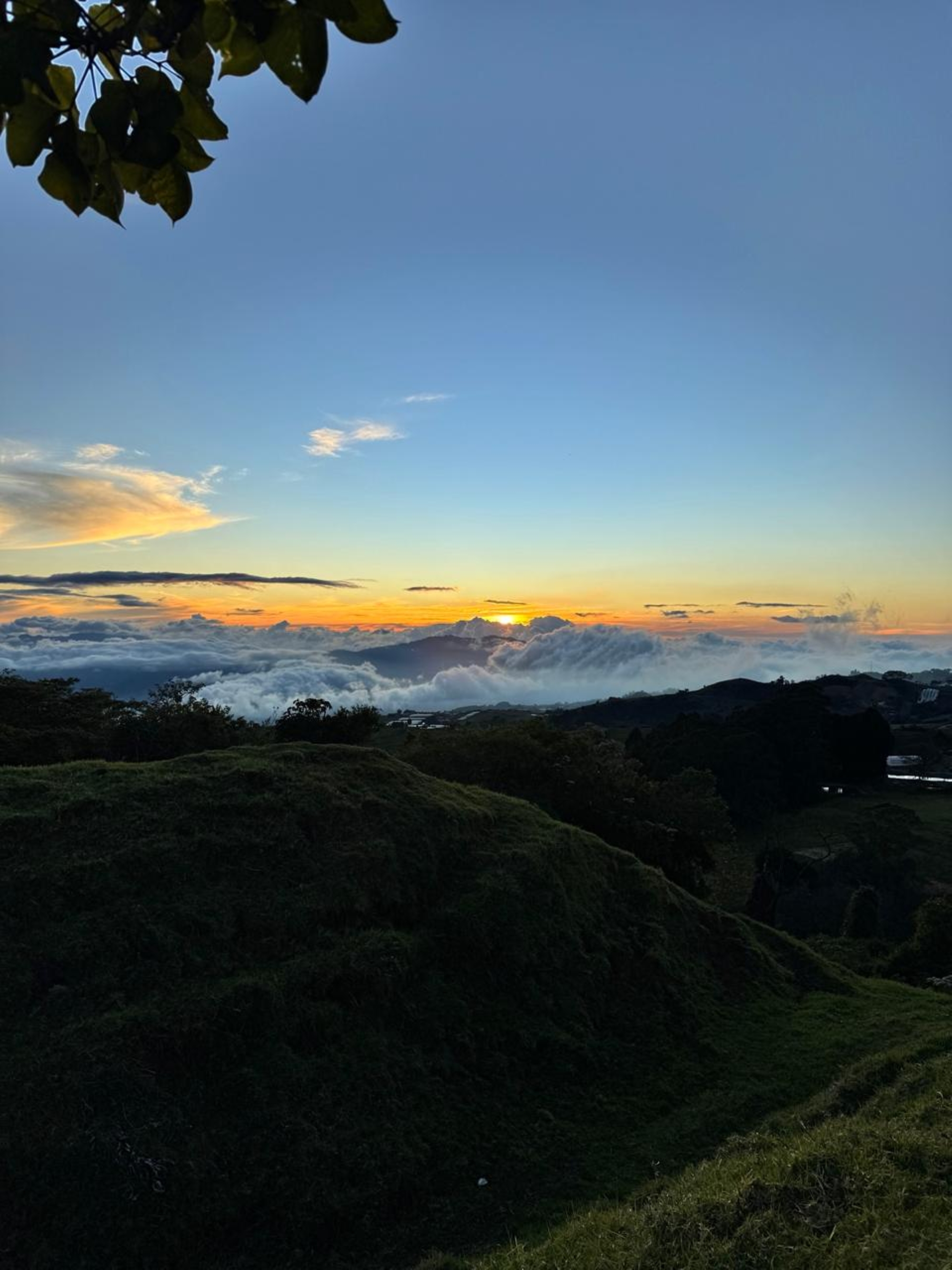 A scenic view of a sunset over a mountainous landscape, with rolling hills in the foreground and a blanket of clouds below. The sky is painted in hues of orange and blue as the sun dips below the horizon, surrounded by a few wispy clouds. A branch with green leaves frames the top left corner of the image.