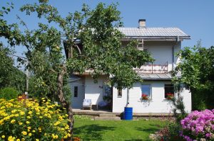 A white two-story house with a metal roof is surrounded by a lush garden filled with blooming yellow and pink flowers. An apple tree with ripe fruit stands prominently in the foreground.
