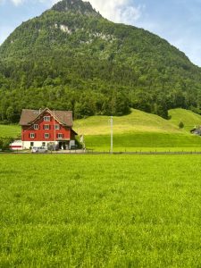 This image shows a peaceful countryside landscape with a bright green field stretching across the foreground. In the middle of the scene, there is a red house with white details, standing out against the natural surroundings. Behind it, gentle hills covered in grass and trees lead up to a large mountain filled with dense forest. The sky is clear wi