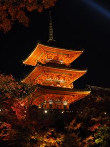 Gemini said
A beautifully illuminated three-tiered pagoda stands tall, its intricate architectural details glowing warmly against the dark night sky. Surrounded by vibrant autumn foliage, the scene creates a stunning contrast between the deep tree hues and the majestic, serene structure.