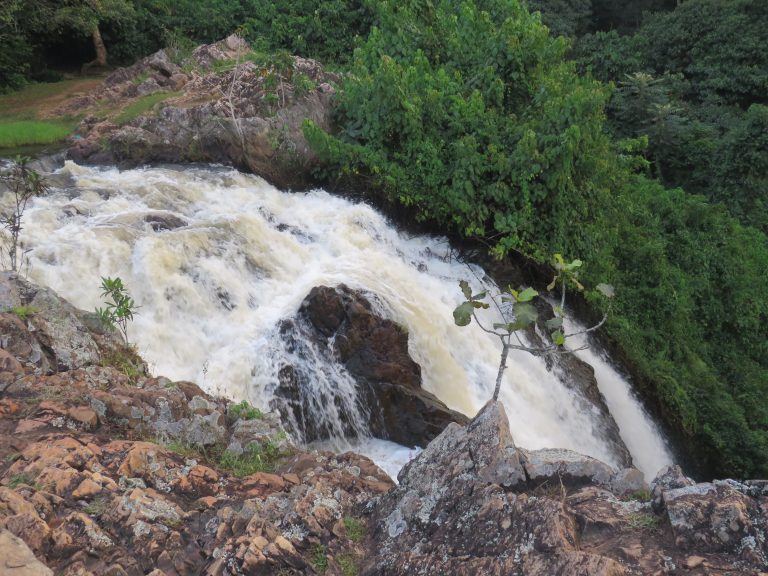 A side-angle view of a waterfall showing white water cascading powerfully down a dark, rocky cliff. The surrounding area is covered in thick tropical greenery and dense trees. The water surface in the foreground shows ripples and submerged aquatic plants near the rocky bank, capturing the raw energy of the falls.