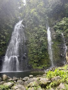A beautiful scene featuring two waterfalls cascading down moss-covered rocks, surrounded by lush greenery. The water flows into a small pool at the base, where smooth stones and vibrant plants dot the landscape, creating a serene and tranquil atmosphere. Soft mist rises from the falls, enhancing the natural beauty of the setting.