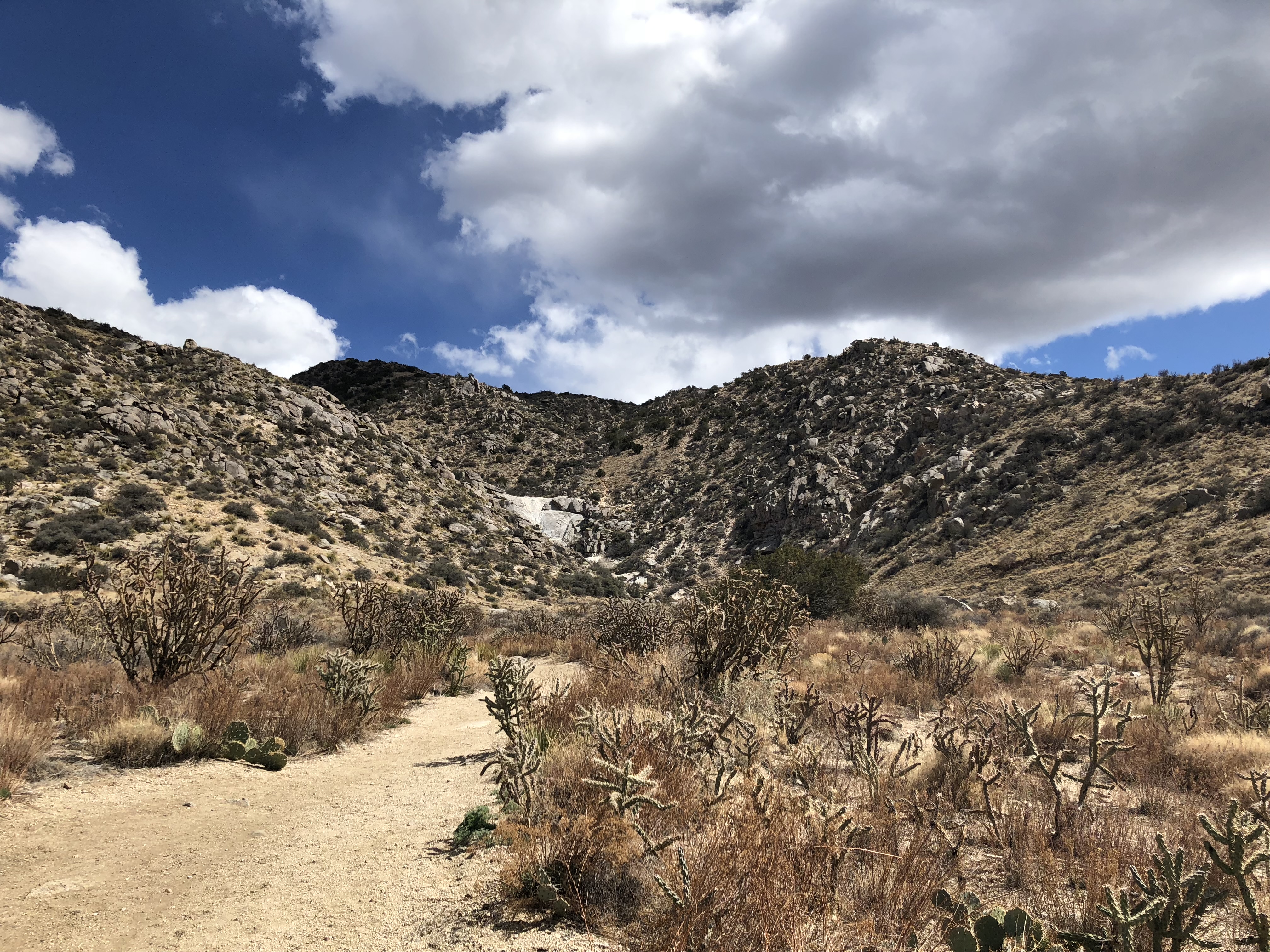 A dusty path winds through a dry landscape dotted with sparse vegetation, including various cacti and shrubs.