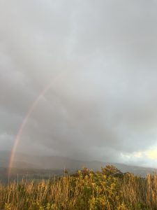 A vibrant rainbow arcs across a cloudy sky, set against a backdrop of rolling hills and lush greenery. The foreground features tall grass and shrubs, illuminated by soft sunlight breaking through the clouds. The scene captures a moment of natural beauty after a rain, with varying shades of gray and light blending together.